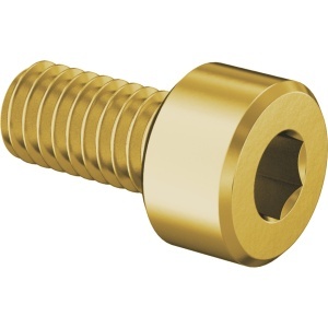 Brass Socket Head Screw M4 x 0.70 mm Thread size, 8 mm Long图2